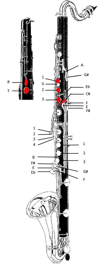 a5