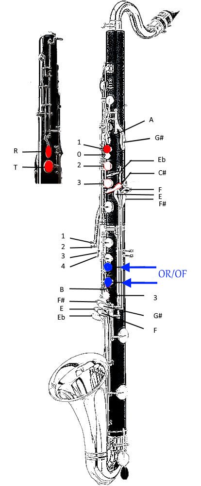 B5 34