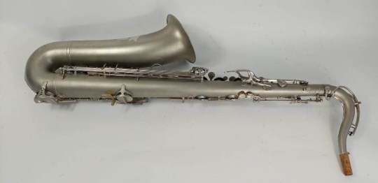 schenkelaars-195x-tenor-(6)-1646575471