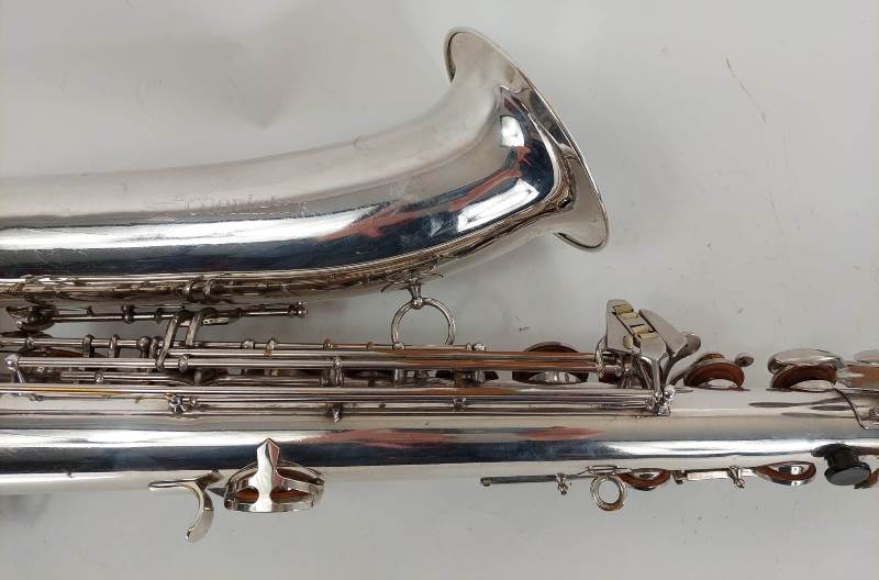 schenkelaars tenor 10000 2